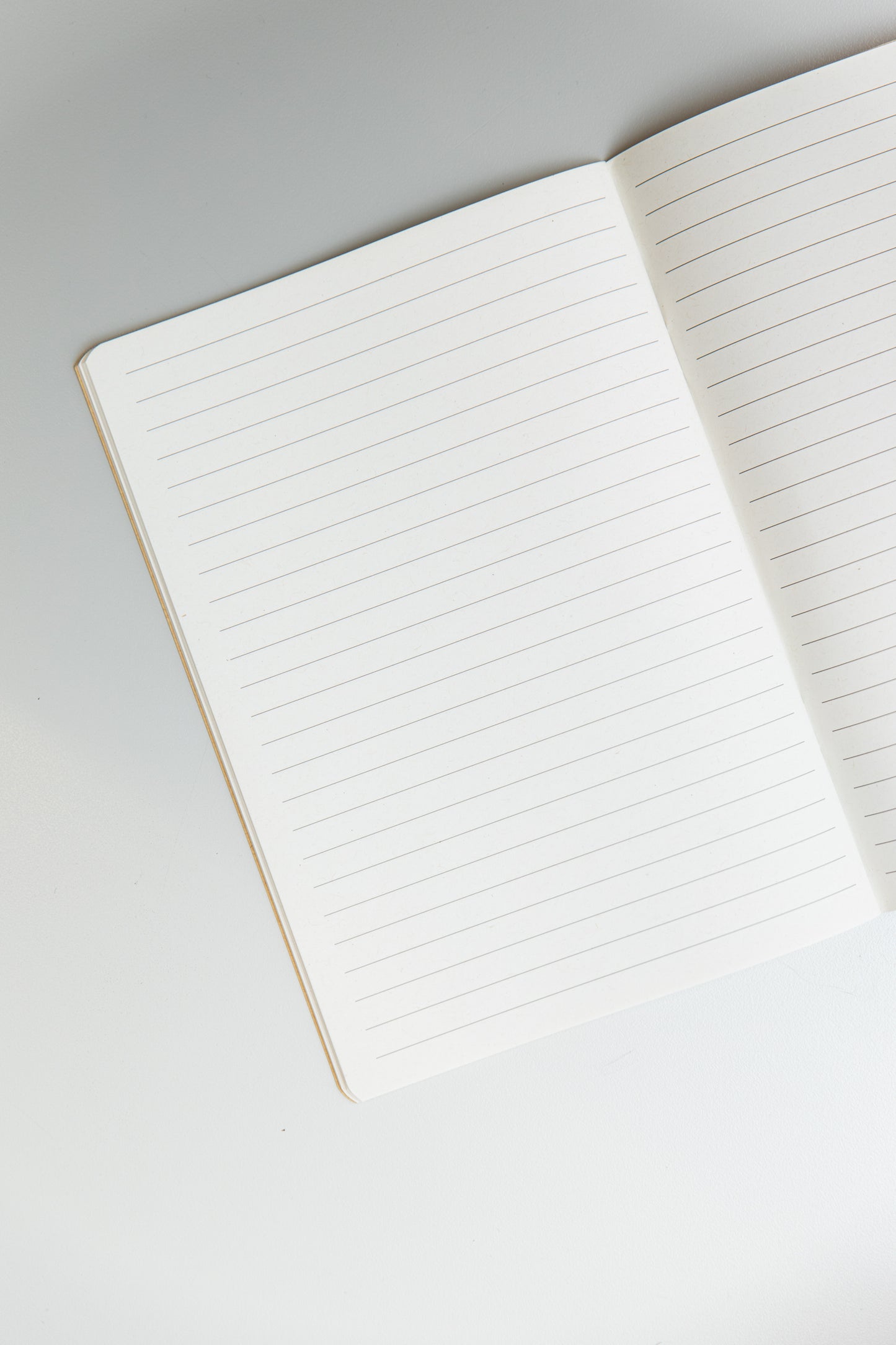 Caderno de Papel Reciclado