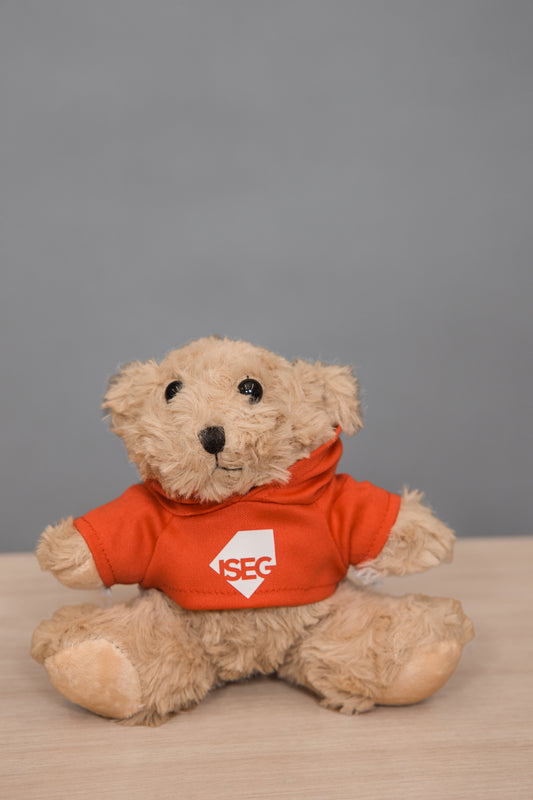 Urso de peluche ISEG